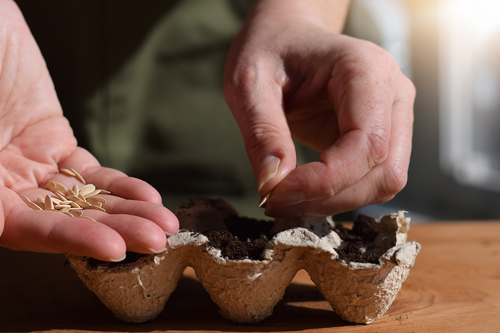 riciclo creativo con contenitori in cartone delle uova